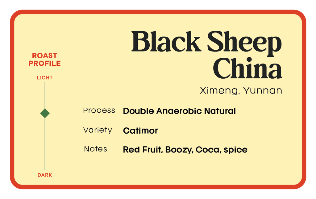 Double Anaerobic Natural China